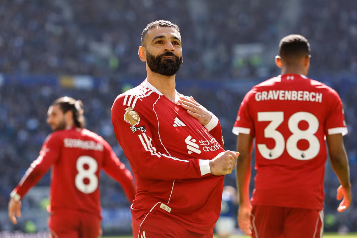 Related Image