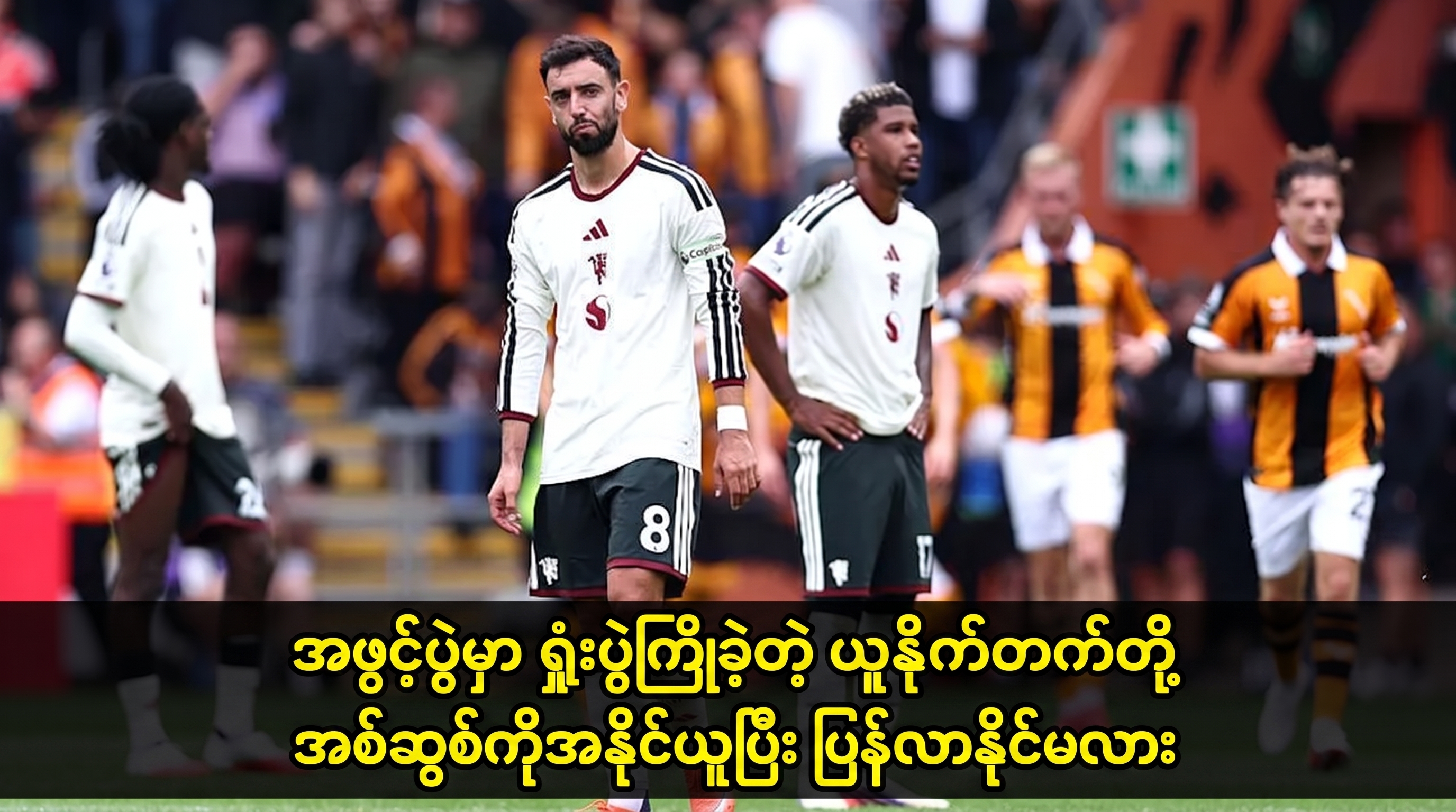 ဗီဒီယိုများ