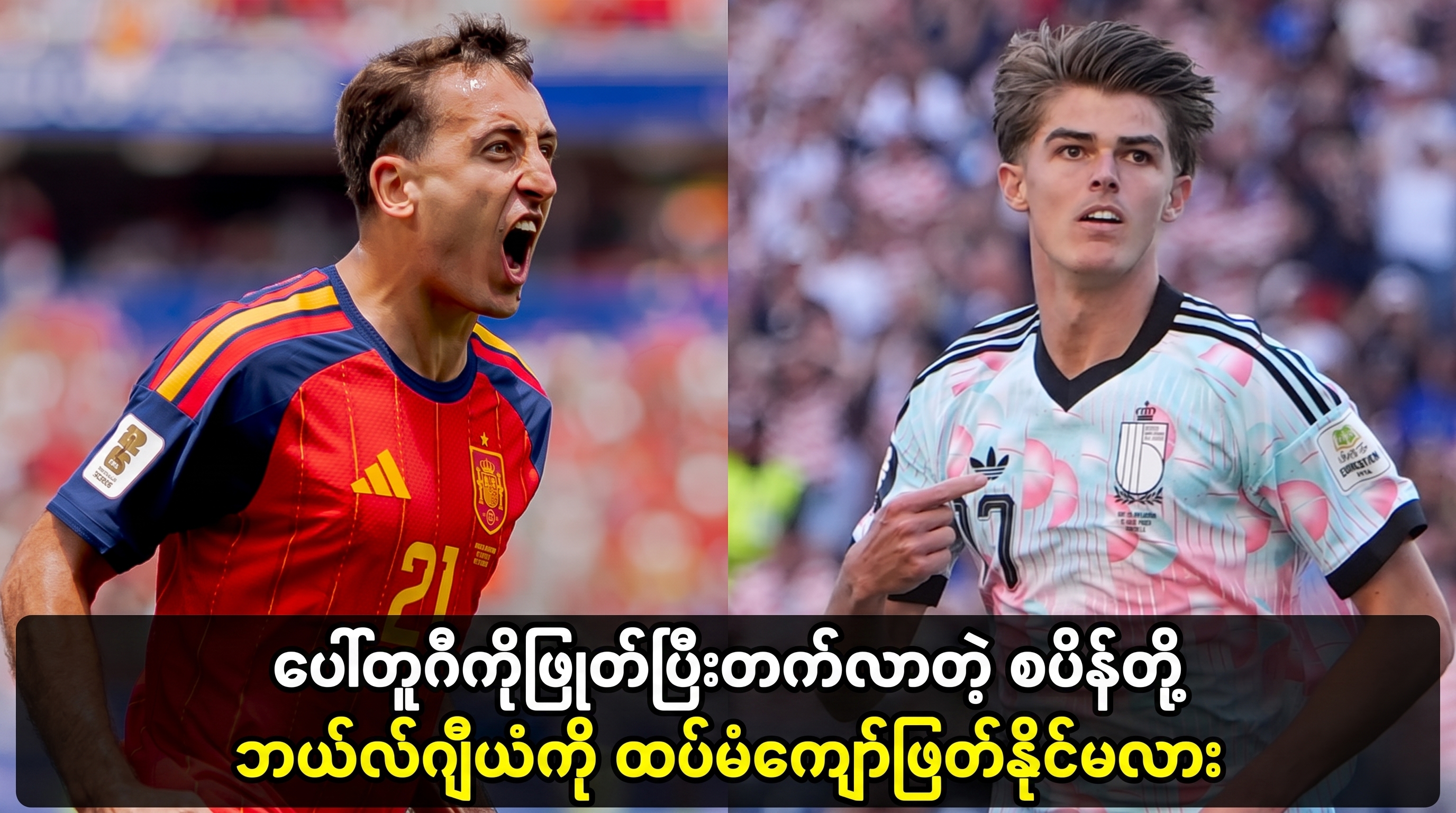 ဗီဒီယိုများ